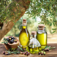La fábrica de producción de aceite de oliva