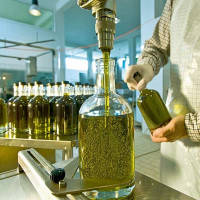 A factory for the production of olive oil