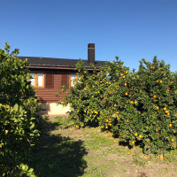 Дом в Олива с садом 