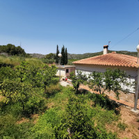 House with a plot of 3400m, near Gandia